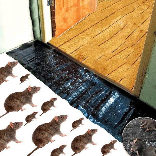 Mouse Trap Sheet - Eazzy Store