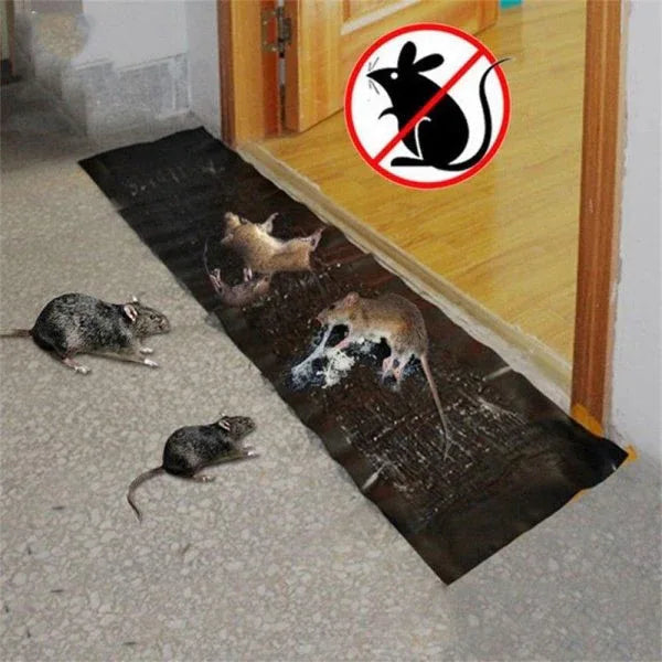 Mouse Trap Sheet - Eazzy Store
