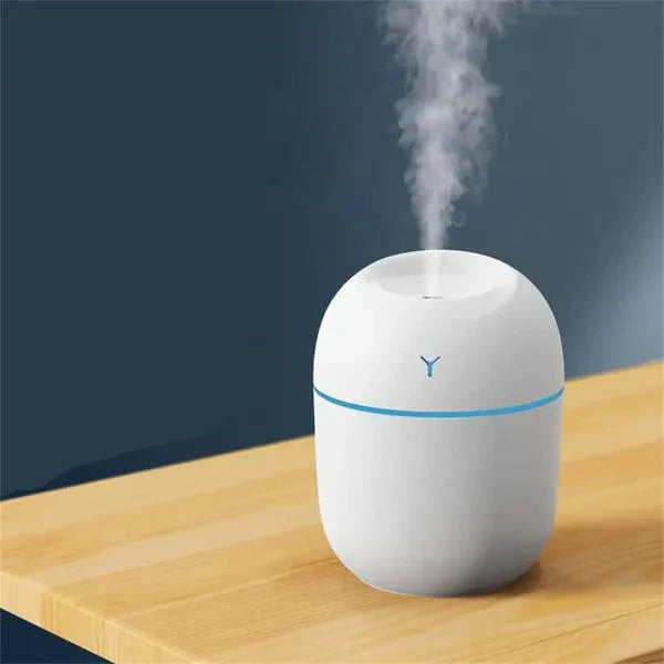 Portable Mini Humidifier - Eazzy Store