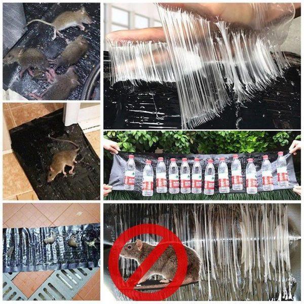 Mouse Trap Sheet - Eazzy Store