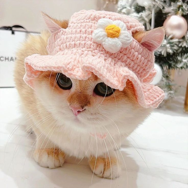 Handmade Crochet Cat Hat – Cute, Warm & Comfortable Pet Accessory